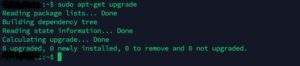 Result of sudo apt-get upgrade command