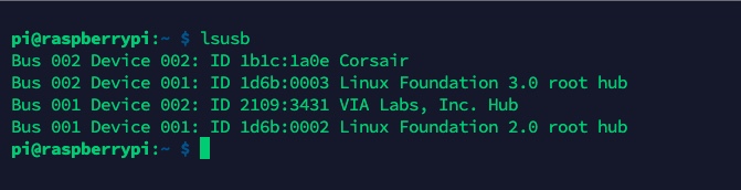 Command lusb output in Linux