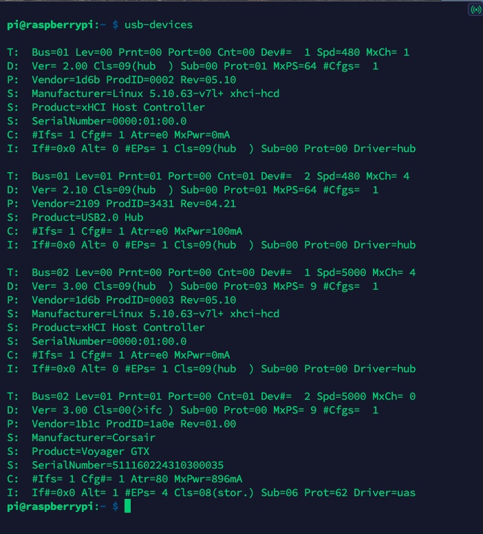 Command usb-devices sample output